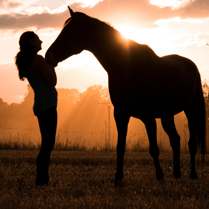 une femme et un cheval devant un soleil couchant